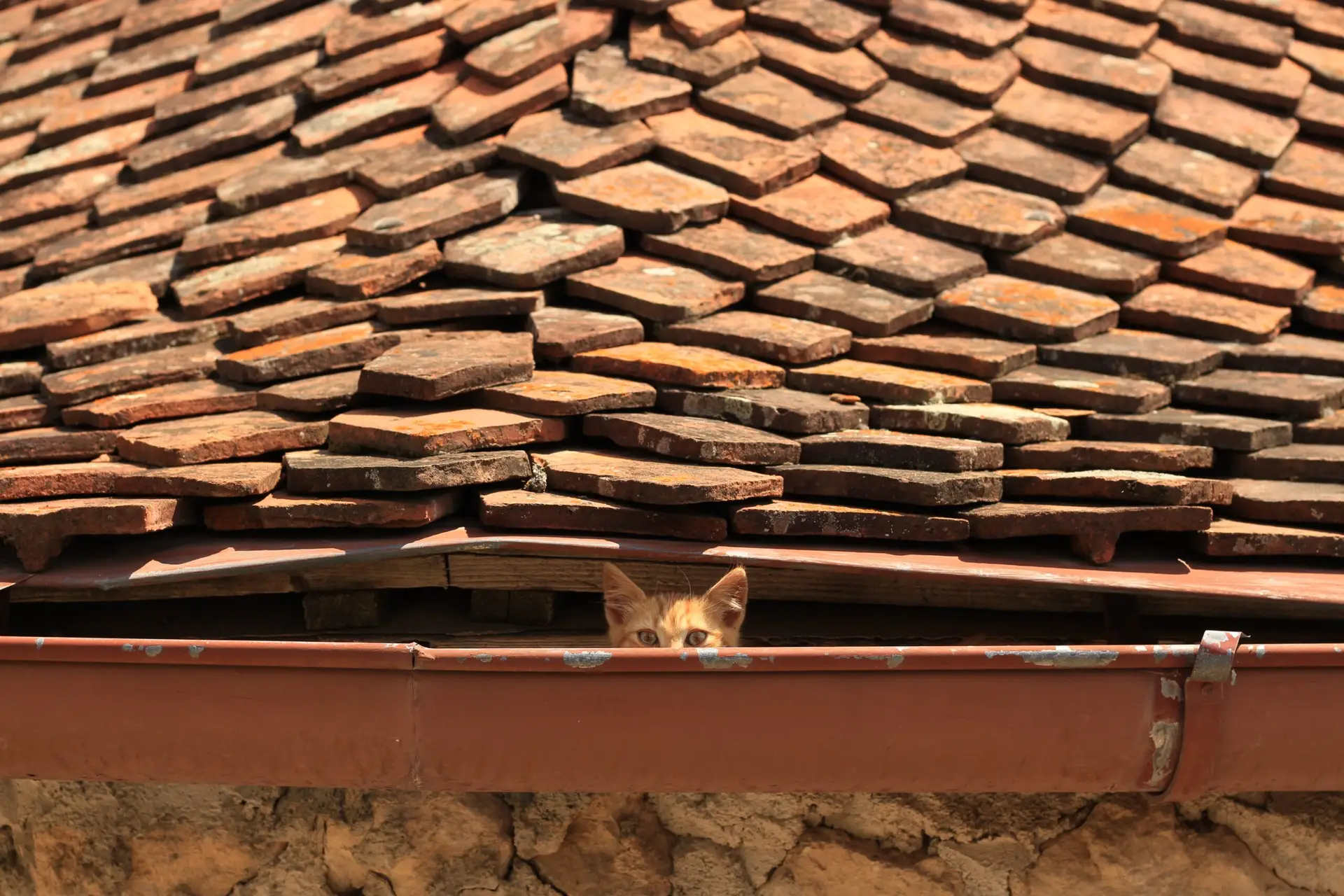 Due Diligence Best Practices for Funds